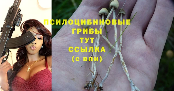 гидропоника Алексеевка